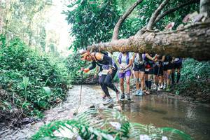 BIB: 
                            <button type="button" onclick="openModal(25466718)" class="btn btn-primary btn-sm float-right btn-popup" data-toggle="modal" data-target=".modal-high-quality">
                        <i class="fas fa-shopping-cart"></i> Add to Cart
                    </button>
                                            <button type="button" onclick="isThisMe(25466718, true)" class="btn btn-success btn-sm float-right btn-popup btn-isme hidden" data-toggle="tooltip" data-placement="bottom" title="นี่คือรูปของคุณใช่ไหม คลิกที่นี่เพื่อเอาเข้าอัลบั้ม">
                        <i class="fas fa-plus"></i> Add to album
                    </button>
                    <button type="button" onclick="isThisMe(25466718, false)" class="btn btn-warning btn-sm float-right btn-popup btn-isnotme hidden">
                        <i class="fas fa-ban"></i> Remove from album
                    </button>